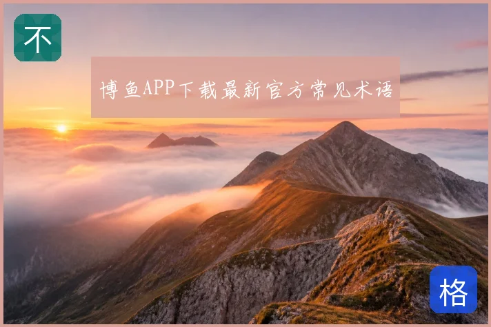 博鱼APP下载最新官方常见术语