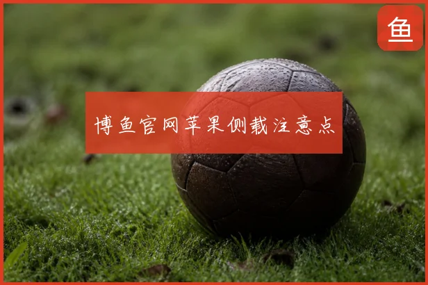 博鱼官网苹果侧载注意点
